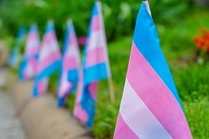 Diferencia entre transgénero y transexual